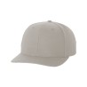 Gray Blank