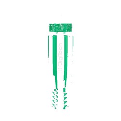 Green Screen Print