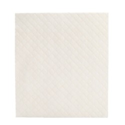 Lather Up Dish Cloth