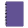 Purple Blank
