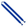 Royal Blue Blank
