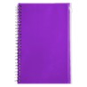Purple Blank
