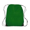 Kelly Green Blank