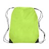 Lime Green Blank
