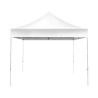 IMPORT 10' x 10' Canopy Package