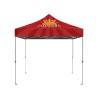 IMPORT 10' x 10' Canopy Package