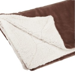 Chocolate Brown Blank