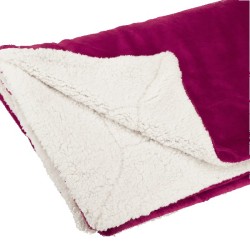 Burgundy Blank