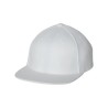 Flexfit 110F One Ten Snapback