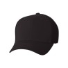 Black Blank