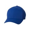 Royal Blue Blank