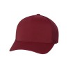 Maroon Blank
