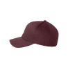 Maroon Blank