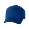 Royal Blue Blank