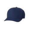Navy Blue Blank