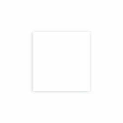 Primary Blank