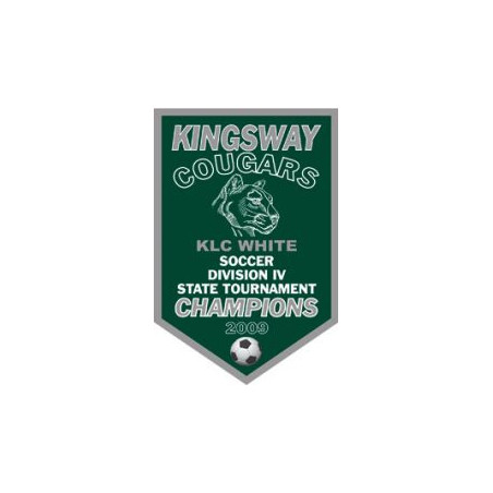 Polyester Banner 2'x3' fabricPolyester Banner, full color w/grommets