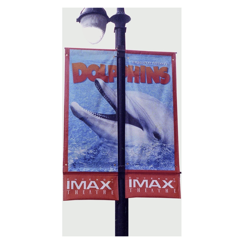 Single Pole Bracket System - 36"