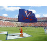 4'x6' Single Sided Spirit Flag