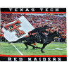 Plush and Cozy Silk Touch Blanket, 50x60, Sublimated Edge to Edge 1 side