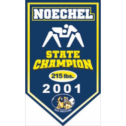 Polyester Banner 2.5'x5' fabricPolyester Banner, full color w/grommets