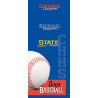 Custom Full Color Pole Banner 30"x60" Two Sided - 13 oz. Vinyl with grommets