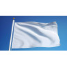 RUSH 24 Hour 2'x3' Single Sided Flag With Webbing & 2 Grommets