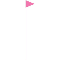 Solid Color Pink Pennant Field Flag w/Orange Staff