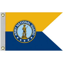 Full custom guidon