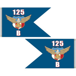 Full custom color guidon