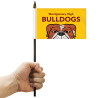 Handheld Flag