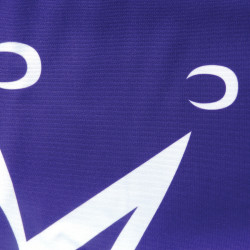 Close up of material and print