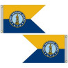 Full custom color guidon