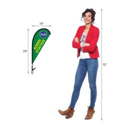 Various Logo Size Comparison