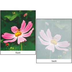 Close up of print