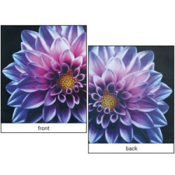 Sample close up of fabric and print