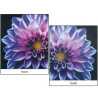 Sample closeout of print and material