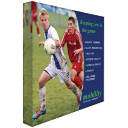 Medium Spring Wall Kit