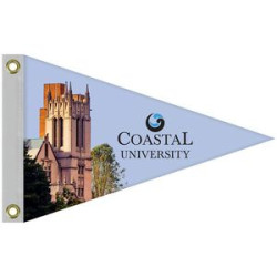 Full custom color pennant