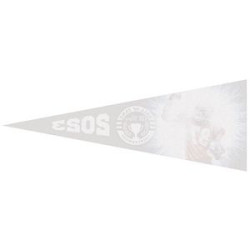 Rear view of pennant