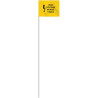 Full Flag