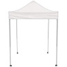 6.5' Square Canopy Tent
