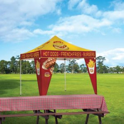 In Use at Park