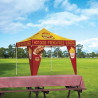 In Use at Park