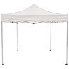 10' Square Canopy Tent
