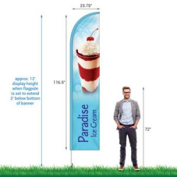 Size Comparison