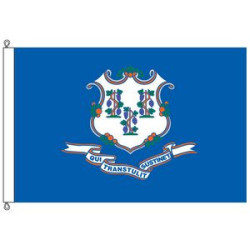 Connecticut 8' x 12' Nylon Flag w/ Rope & Thimble