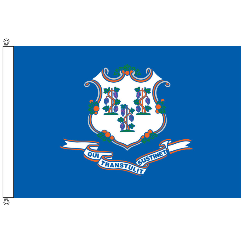 Connecticut 8' x 12' Nylon Flag w/ Rope & Thimble