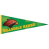 12" x 30" Digitally Printed Single Sided Custom Felt Pennant