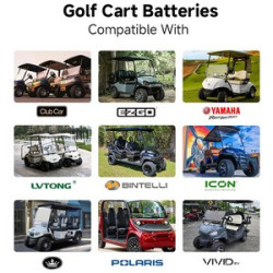 Deep Cycle BMS 38.4V 105Ah LiFePO4 Lithium Batteries for Electric Golf Carts
